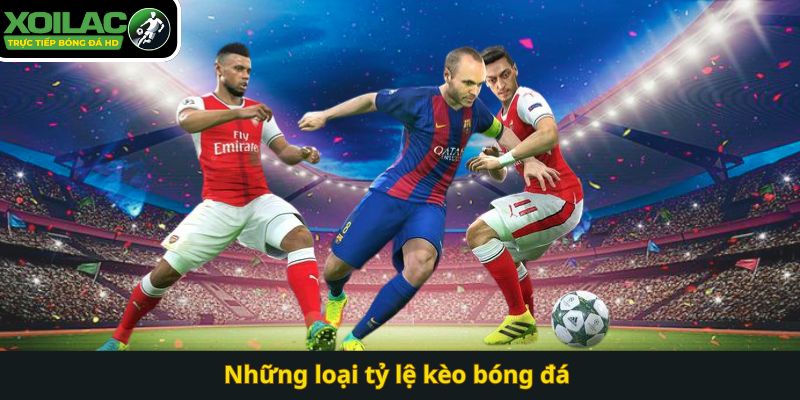 Những loại tỷ lệ kèo bóng đá